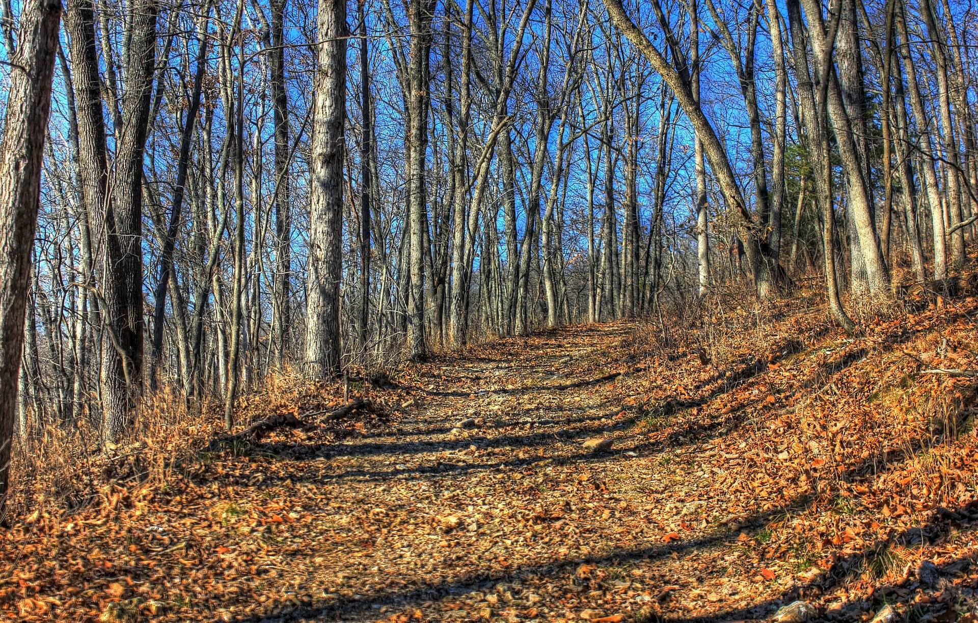 Deer Season Saturday Comes With Mandatory Sample Testing